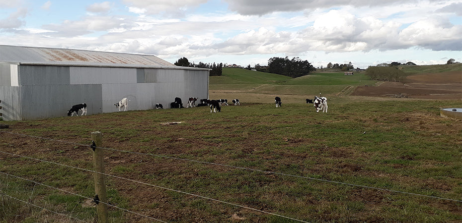 Ten Reasons to Install Rural Electric Fence