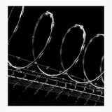 Razor Wire Coil | Edgesmith